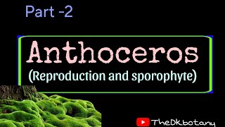 Anthoceros part 2 reproduction and sporophyte [upl. by Gaye]