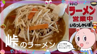 峠のラーメン 山梨のおいしいラーメン屋さん [upl. by Melak]