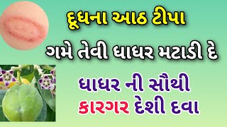 આ દૂધના આઠ ટીપા ગમે તેવી ધાધર મટાડી દે ધાધર ખરજવા ની દેશી દવા  Dhadhar ko kaise hataye [upl. by Illek]