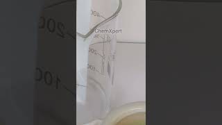 Chromatography of Spinach  Separation of Chlorophyll and Xanthophyll  Class 11 Biology science [upl. by Udenihc850]