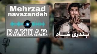 حفله شاد بندری BANDARI SHAD مهرزاد نوازنده mehrzad navazandeh [upl. by Philipa]