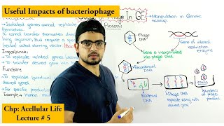 Usage of bacteriophage in Genetic engineering [upl. by Esorylime]