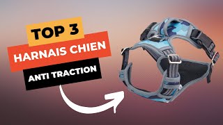 🔥 TOP 3  Meilleur Harnais Chien Anti Traction 2023 [upl. by Sedrul884]