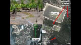 Ecological Mangrove Restoration Methodology and Trainingwmv [upl. by Ludlow]