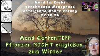 Mond Garten TIPP 1 Pflanzen im Garten nicht eingießen vor dem Winter [upl. by Mckeon733]