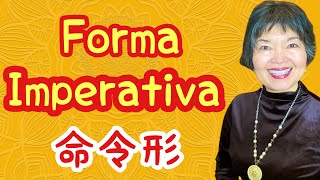 VERBOS IMPERATIVOS en Japonés Gramática N458 [upl. by Repinuj]