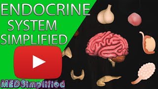 Human Endocrine System Made simple Endocrinology Overview [upl. by Sundin]