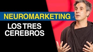 NEUROMARKETING El principio de los tres cerebros  Jürgen Klarić [upl. by Laetitia]