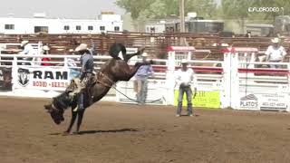 Cort Scheer At The 2019 Medicine Hat Exhibition amp Stampede [upl. by Ecirad]