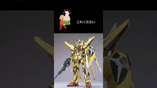 ガンプラ転売ヤーにクイズ アカツキガンダム gundam ガンプラ 機動戦士ガンダムseed [upl. by Allayne295]