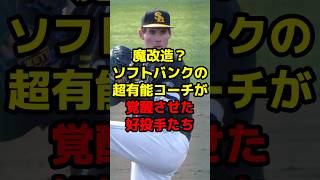 魔改造？ソフトバンクの超有能コーチが覚醒させた好投手たちshorts 野球 プロ野球 ソフトバンク コーチ 改造 有能 覚醒 [upl. by Teodora]