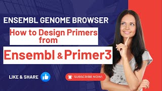 How to Design Primers from Ensembl amp Primer3  Ensembl Genome Browser [upl. by Madalyn518]