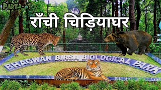 Bhagwan Birsa Biological Park  Ranchi Zoo  राँची चिड़ियाघर  Ormanjhi Ranchi [upl. by Lechner]