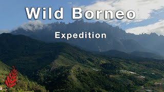 Wild Borneo Expedition [upl. by Aldarcy]