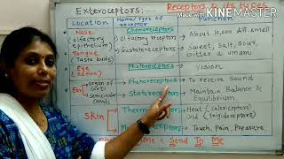 Types of Receptors [upl. by Clerissa]