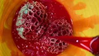 🌺Floral Pinalen Sponge ASMR🌺 [upl. by Angelo]