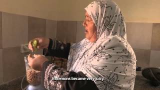 The Palestinian way to make hummus [upl. by Randi643]