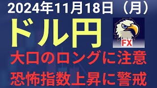 【相場解説】２０２４年１１月１８日（月）ドル円 [upl. by Lebisor]