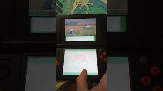 Pokeradar Pokemon Platinum Silcoon Chain Of 8 Fail Pokedex 266 Noosa North Shore 4WD [upl. by Ayekahs228]