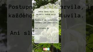 Potvora basnicka poesie poezie cteni kniha knihy mluveneslovo audiokniha [upl. by Dlanar640]