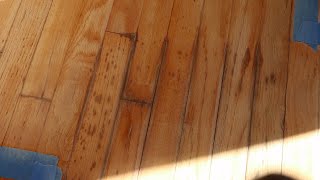 How to remove hardwood floor stains [upl. by Leumek]