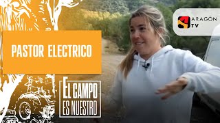 Judit y su padre montan un pastor eléctrico para sus ovejas [upl. by Oisinoid512]