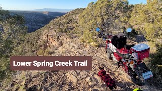 Lower Spring Creek Motorcycle Trail [upl. by Annaoj]