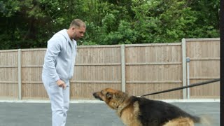 BILLY JOE SAUNDERS THREATENS TO LET HIS DOG LOOSE ON KUGAN CASSIUS WHO IS HIDING IN HIS CAR [upl. by Panthia]