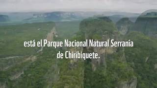 ¡El Parque Nacional Natural Chiribiquete ha sido declarado Patrimonio de la Humanidad [upl. by Seiber]