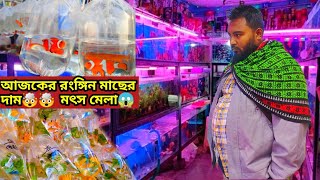 Aquarium Price In Bangladesh। Aquarium Fish Price In Khulna। Aquarium Fish Price In Bangladesh [upl. by Uolymme357]