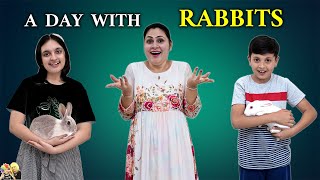 A DAY WITH RABBITS  Rabbits control our day for 24 hours  Surprise Gift  Aayu and Pihu Show [upl. by Grimbald]