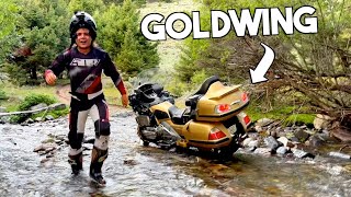 Riding my GOLDWING OFF ROAD [upl. by Aneeres]