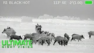 Wild Boar Hunting in Texas  40 Hogs Down with the Armasight Zeus Thermal Scope [upl. by Novehs]