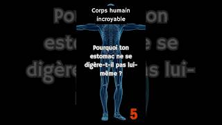 Pourquoi ton estomac ne se digèretil pas luimême [upl. by Jay923]