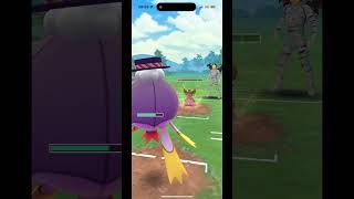 Shadow girafarig in the great league pokemongoaltariaingreatleague pokemongo [upl. by Farmer]