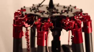 Octocopter DJI s1000 replica [upl. by Varhol209]