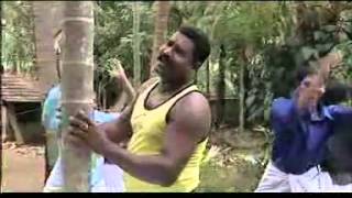 AMMAYIDE MOLE kalapavan mani [upl. by Thay]