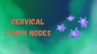 Neck Lymph Nodes  Lymph Nodes of the Neck  How to Palpate Neck Lymph Nodes [upl. by Dnalyr]