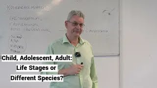 Child Adolescent Adult Life Stages or Different Species South East European University SEEU [upl. by Neved153]