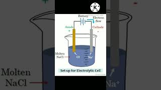 CATHODE and ANODE class 10 electrolytic cell chemistry chemistry [upl. by Aray]