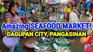 BIGGEST Seafood Market of Pangasinan  DAGUPAN FISH MARKET  PALENGKE  DECEMBER TOUR  PHILIPPINES [upl. by Alleuqahs286]