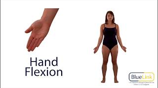 Hand Flexion Extension Hyperextension [upl. by Bandur500]