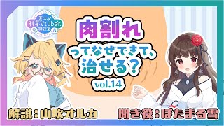 肉割れはなぜできて、治せる？【夏休み科学VTuber相談室2024 vol14】 [upl. by Chiou]