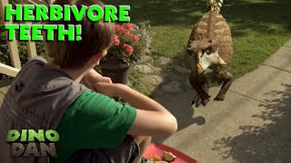 Looking at Herbivore Teeth  Best of Dino Dan Treks Adventures [upl. by Ynohtnaluap]