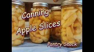 Canning Apple Slices  Pantry Stock [upl. by Anavrin]