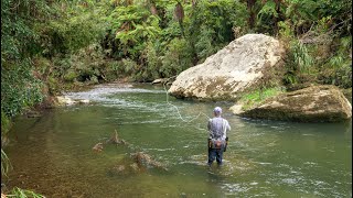 Incredible Fly Fishing for BIG Rainbow Trout in a Stunning River [upl. by Hoxsie137]