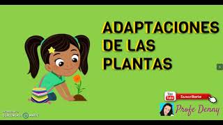 ADAPTACIONES DE LAS PLANTAS [upl. by Rouvin]