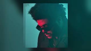 The Weeknd  Timeless feat Playboi Carti Official Audio [upl. by Jeuz]