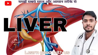 Liver anatomy and physiology  biliary system  important class for nursing RRB CHO And other exam [upl. by Naaitsirhc851]