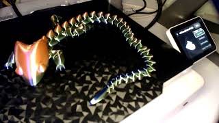 3D printing dragon live [upl. by Yaja]